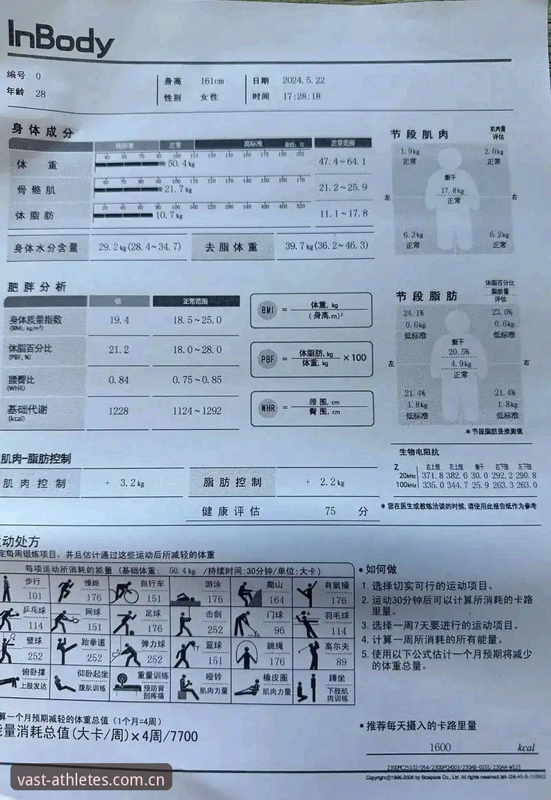 浩瀚体育平台深度评测：数据站迁移潮下的真实体验报告